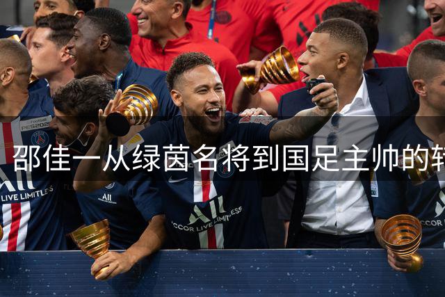 邵佳一从绿茵名将到国足主帅的转型之路